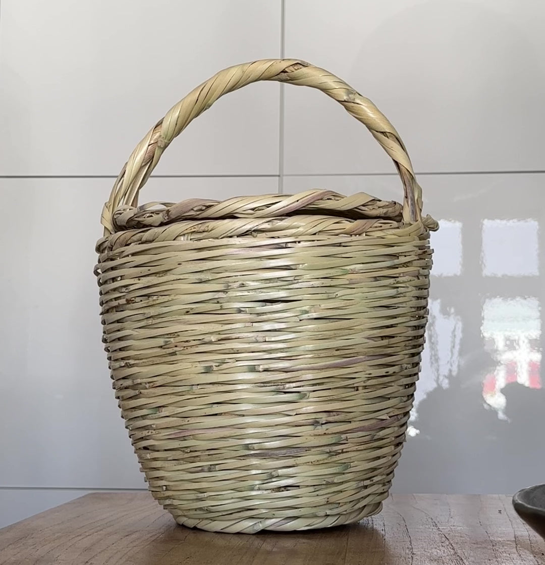 Jane Birkin Basket Portugal Algarve